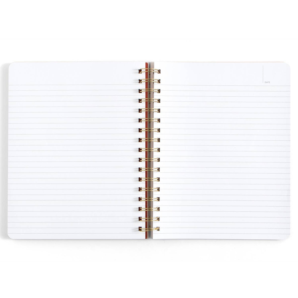 Professional Overthinker Spiral Notebook | 160 Lined Pages